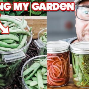 I made FIVE Pickling Recipes from My Garden